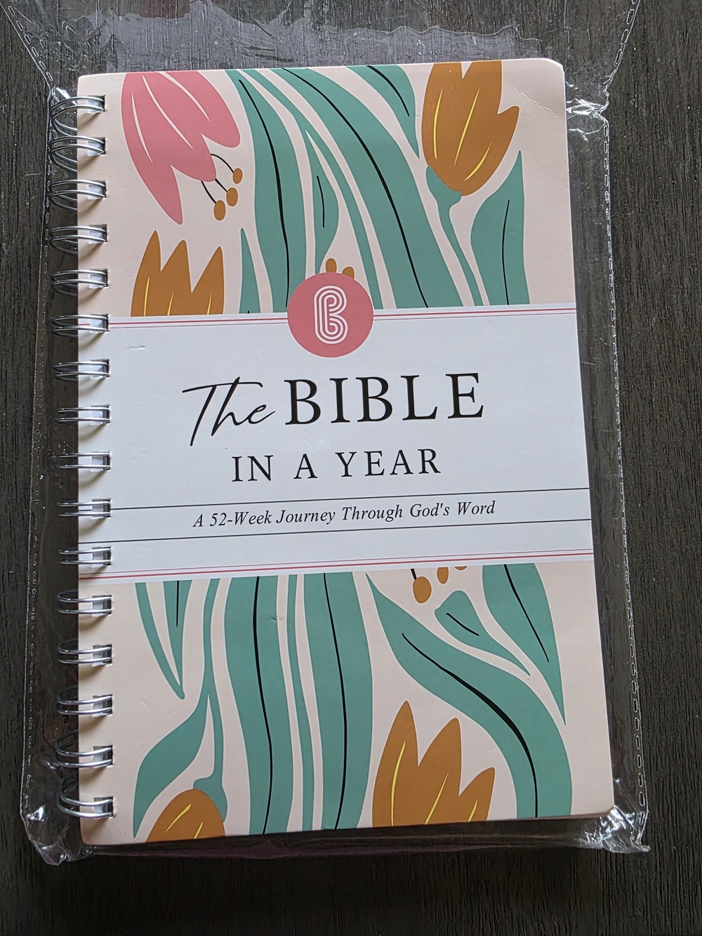 The Bible in a Year Spiral Journal - Teal & Pink Floral